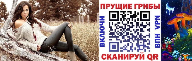 Псилоцибиновые грибы ЛСД  цена   Таганрог 